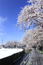雨は夜更け過ぎに～♪　　　　　って、今何月だぉ！！！？？？