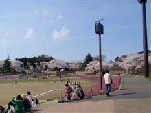 にゃがみねにぇこーえん