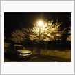 結局、夜桜でした・・・