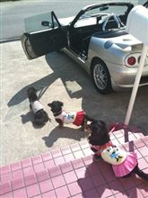 ひなたぼっこw