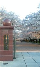 我が母校