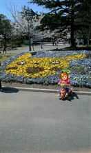開成山公園