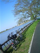 ＪＥＤＩとブロンプトンで、小貝川ポタしました～♪