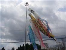 鯉のぼり
