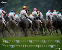 【２０１０・G1春】どの馬にもチャンスはあるぞ『天皇賞・春』