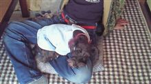 こいつは猫か