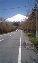 本日の富士山は…