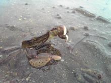 腰が…