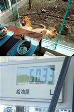 伊豆アニマルキングダムへ