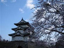今年も・・