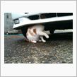 監督・・・・(Ｔ＿Ｔ）