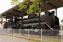 本日のＤ５１