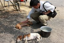 UDONとソフトクリームを食べに行こうツアー(・∀・)　牧場編