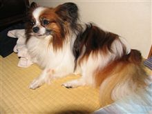 楽あれば苦あり