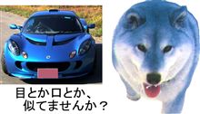 2011モデルエリーゼの顔