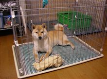雨の日は、お家の中で…