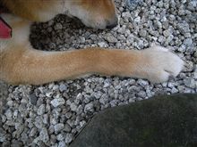 セカンドカー以外にも…