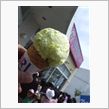 ぴーぴー