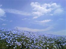 青の境界