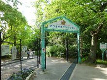 アルパカ