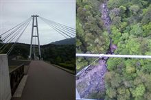 九重“夢”大吊橋