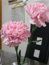 昨日の母の日は・・・