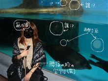 写真を探していたら・・・・