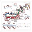 FIA F1世界選手権 シリーズ 第16戦 日本グランプリレース  (ｖ｀▽&#180;)ｖ