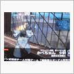 「戦場の絆」ナハト欲しさに頑張ってます。