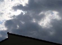 野良猫？対策・・・o(▼_▼θ