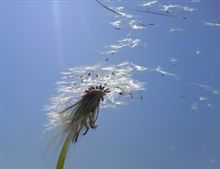良いお天気だったヨ