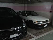 走りたい！