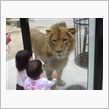保育園の遠足　安佐動物公園へ