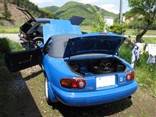 甲羅干し中。