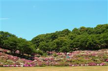 西山公園