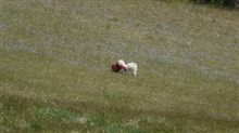 もみもみ。