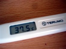 今日は朝からダルかった