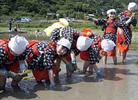 もうそんな時期なのね… もうそんな時期なのね…