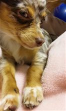 何見てるのよ(￣∀￣)