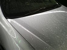 雨です(^^;