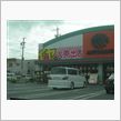 耳大特価