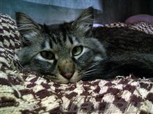 だって　ココがいいんだもん(=^ ^=)