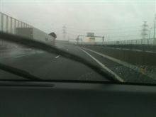 雨、風強過ぎ〜！