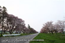函館 → 静内