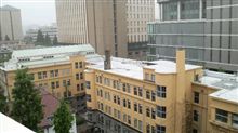 早稲田大学に…