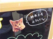 みおファンクラブ