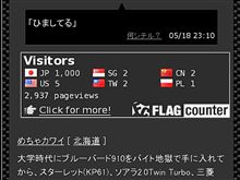 FLAG counter　って