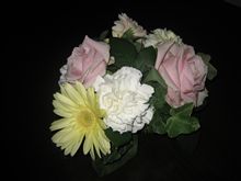 バラの切花ゲット