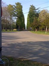 自転車で農業試験場へ 自転車で農業試験場へ