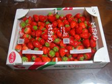 １．２㎏で４００円